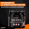 CREATINA micronizzata ETHICSPORT 02