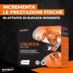 CREATINA VECTOR ETHICSPORT 02