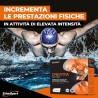 CREATINA VECTOR ETHICSPORT 04