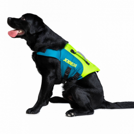 Pet Vest BRAVO 01