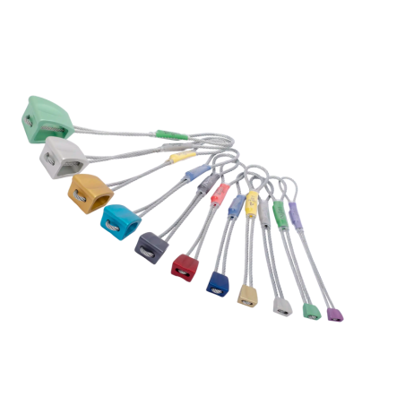 Wallnut Set 1-11 Assorted DMM