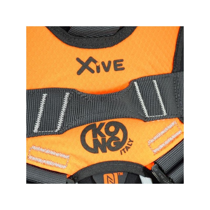 Harness X-Five Fast KONG 05